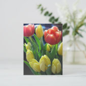 Dutch Tulips Postcard Postkarte (Stehend Vorderseite)