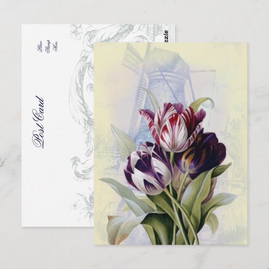 Dutch Tulips Postkarte (Vorne/Hinten)