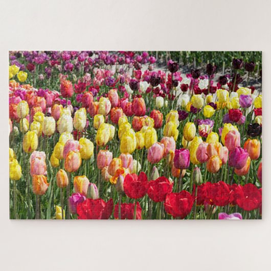 Dutch Tulips puzzle (Horizontal)