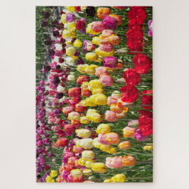 Dutch Tulips puzzle
