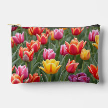 Dutch Tulips