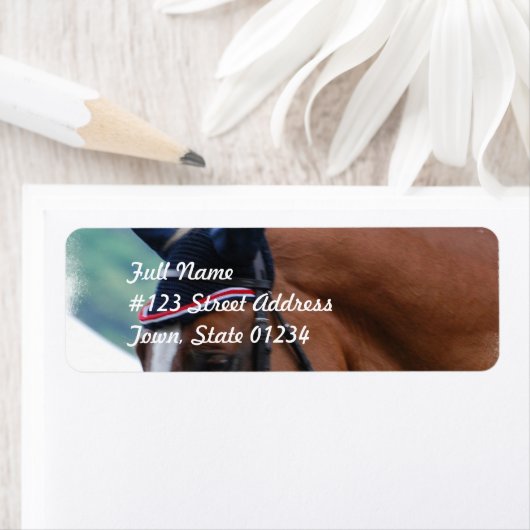 Dutch Warmblut Horing-Label (Insitu)