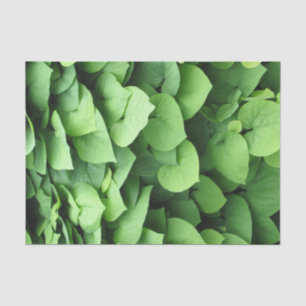 Dutchman's Pipe Green Foliage Seidenpapier