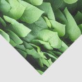 Dutchman's Pipe Green Foliage Seidenpapier (Ausschnitt)