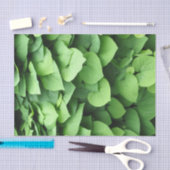 Dutchman's Pipe Green Foliage Seidenpapier (Handwerk)