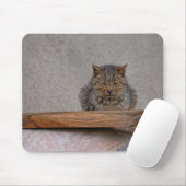 Dutzende Tigerkatze Mousepad (Mit Mouse)