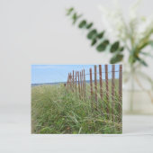Düünen von Cape Cod Postkarte (Stehend Vorderseite)