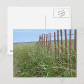 Düünen von Cape Cod Postkarte (Vorne/Hinten)