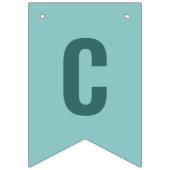 DVM-Studienabschluss für Veterinärmedizin - Gratul Wimpelkette (Erste Fahne)