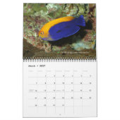 Dwarf Angelfish Wall Kalender von J.W. Vater. (Mär 2027)