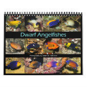Dwarf Angelfish Wall Kalender von J.W. Vater. (Titelbild)