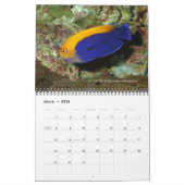Dwarf Angelfish Wall Kalender von J.W. Vater. (Mär 2026)