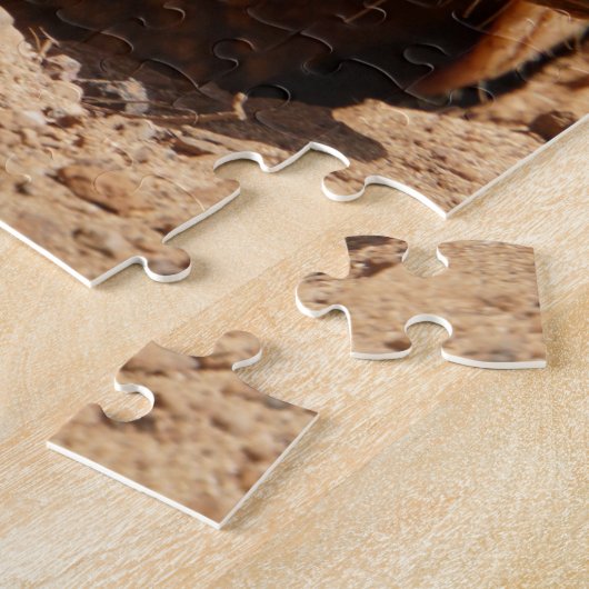 Dwarf Armadillo Sprichwort Puzzle (Seite)