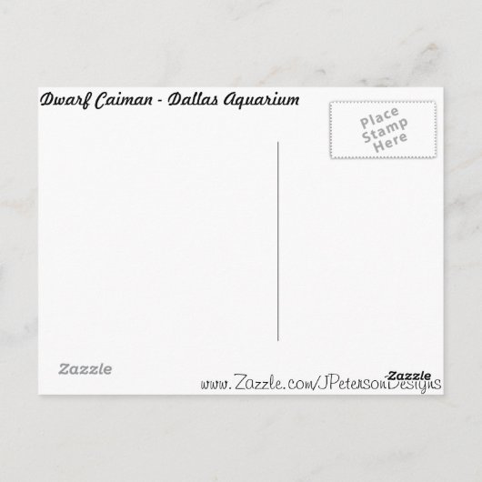 Dwarf Caiman Postkarte (Rückseite)