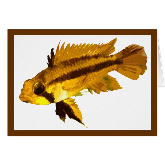 Dwarf Cichlid (Vorderseite (Horizontal))