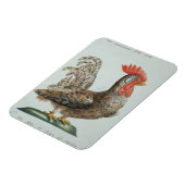 Dwarf Cockerel, c.1767-76 (handfarbene Gravur) Magnet (Linke Seite)