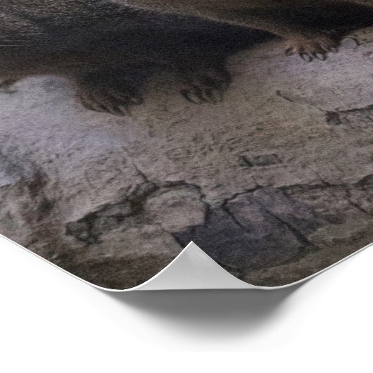 Dwarf Mongoose Pack Poster (Ecke)