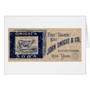 Dwight's Soda-1879 - Not