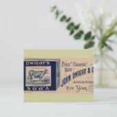 Dwight's Soda-1879 Postkarte (Stehend Vorderseite)
