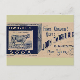 Dwight's Soda-1879 Postkarte