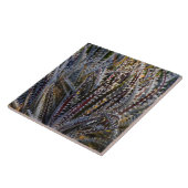 Dyckia Delight Fliese (Seite)