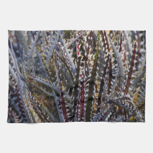 Dyckia delight küchentuch (Horizontal)