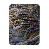 Dyckia delight magnet (Vertikal)