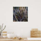 Dyckia delight poster (Küche)