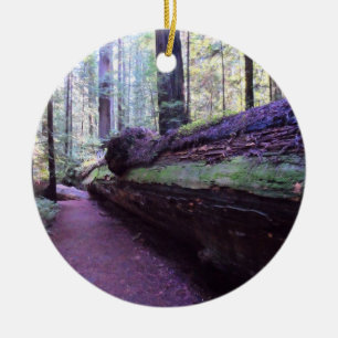 Dyerville riesiger Humboldt Rotholz-Staats-Park Keramikornament