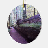 Dyerville riesiger Humboldt Rotholz-Staats-Park Keramikornament (Links)