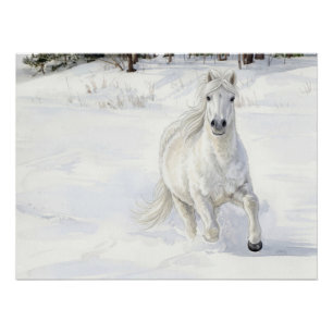 Dyfra das isländische Pferd galoppiert im Schnee Poster