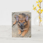 Dylan Niedlich Long Hair Chihuahua Welppy Birthday Karte (Gelbe Blume)