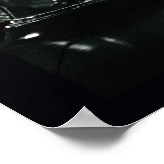 Dynamic Duo Scrapbook Fotografie Poster (Ecke)