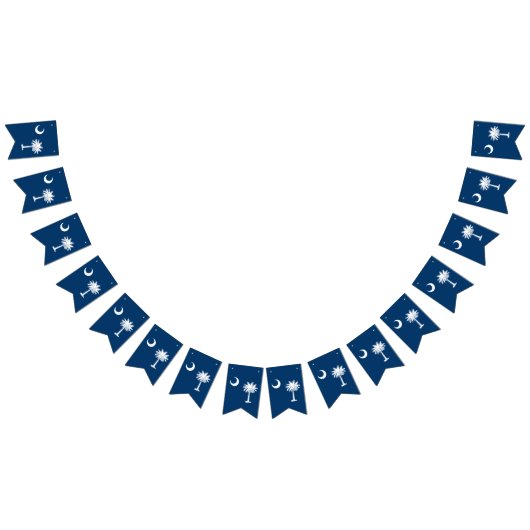 Dynamic South Carolina State Flag Graphic Wimpelkette (Alle)