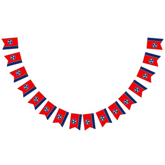 Dynamic Tennessee State Flag Graphic on a Wimpelkette (Alle)