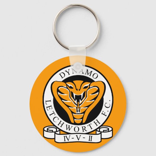 Dynamik der grundlegenden Schlüsselkette Schlüsselanhänger (Vorderseite)