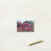 Dynamische Shooting Stars Post-it Klebezettel (Auf Schreibtisch)