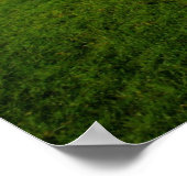 Dysert O Dea Celtic Cross Poster (Ecke)