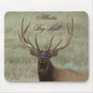E10 Bull Elk in Velvet Head Mousepad