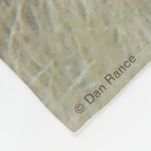 E10 Bullklee in Samt Kopf Shot Fleecedecke (Ecke)