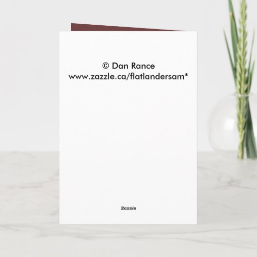 E10 Bullklee in Samt Kopf Shot Karte (Rückseite)