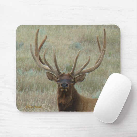 E10 Bullklee in Samt Kopf Shot Mousepad (Mit Mouse)