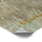 E10 Bullklee in Samt Kopf Shot Poster (Ecke)