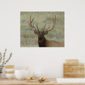 E10 Bullklee in Samt Kopf Shot Poster (Küche)