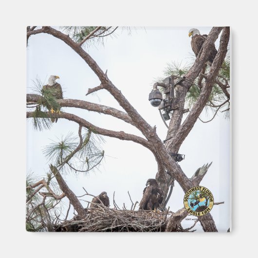 E10 & E11 + Family Magnet (Vorne)