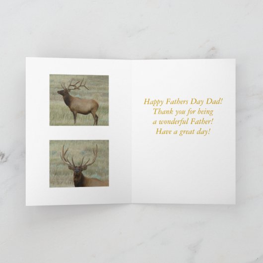 E10 Stier Elche im Samt-Kopf-Schuss Karte (Innenseite)