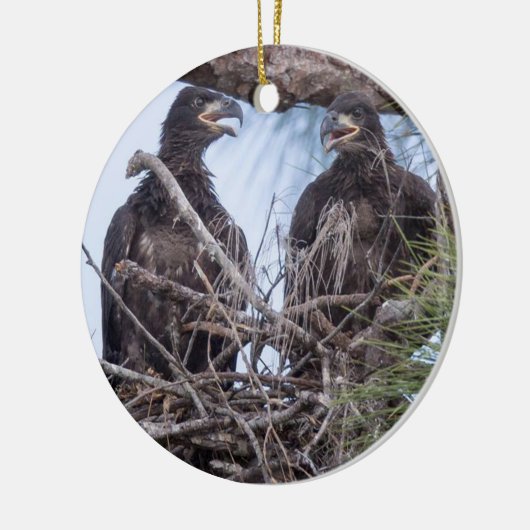 E10 u. E11Ornament Keramik Ornament (Links)