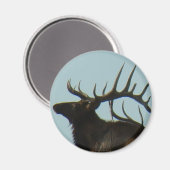E11 Bull Elk Silhouette Head Shot Magnet (Vorderseite/Rückseite)