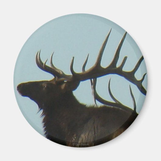 E11 Bull Elk Silhouette Head Shot Magnet (Vorne)
