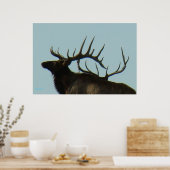 E11 Bull Elk Silhouette Head Shot Poster (Küche)